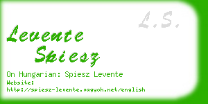 levente spiesz business card